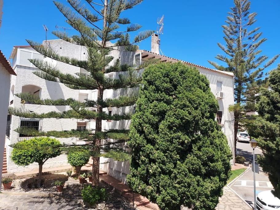 Apartamento A 150 Metros De La Playa Y Del Puerto Deportivo Estepona Exterior foto